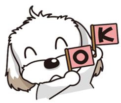 2 Shih Tzu Brothers sticker #6954471