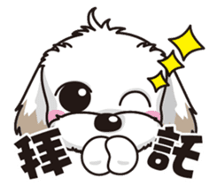 2 Shih Tzu Brothers sticker #6954472