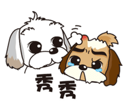 2 Shih Tzu Brothers sticker #6954473