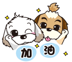2 Shih Tzu Brothers sticker #6954475