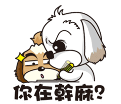 2 Shih Tzu Brothers sticker #6954476