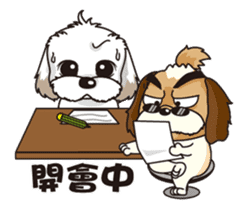2 Shih Tzu Brothers sticker #6954477