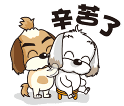 2 Shih Tzu Brothers sticker #6954479