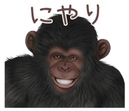 Real monkey sticker of zumo sticker #6955400