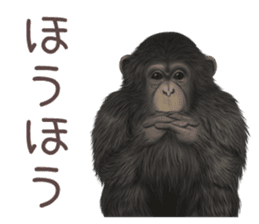 Real monkey sticker of zumo sticker #6955411