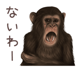 Real monkey sticker of zumo sticker #6955416