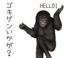 Real monkey sticker of zumo sticker #6955421