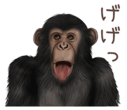 Real monkey sticker of zumo sticker #6955424