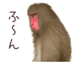 Real monkey sticker of zumo sticker #6955427