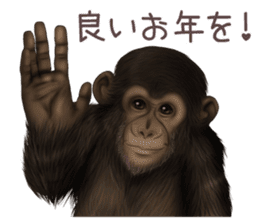 Real monkey sticker of zumo sticker #6955435