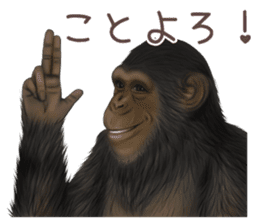 Real monkey sticker of zumo sticker #6955436