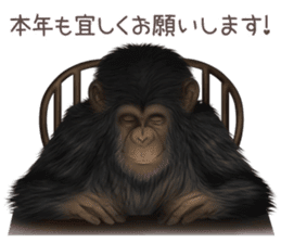 Real monkey sticker of zumo sticker #6955437