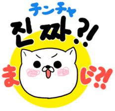 Cute cat Hangul Sticker (JPN.ver) sticker #6957208