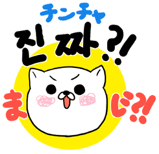 Cute cat Hangul Sticker (JPN.ver) sticker #6957208