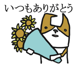 Cute Phoota is Corgi. sticker #6957319