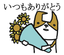 Cute Phoota is Corgi. sticker #6957319