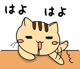 Cat popping sticker #6957512