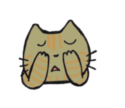 Expression cats sticker #6959335