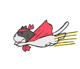 Expression cats sticker #6959336