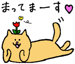 Various cats stickers sticker #6962412