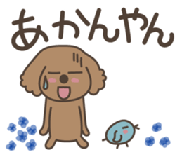 toy-poodle KEY2 sticker #6963846