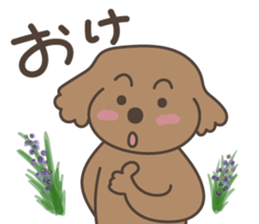 toy-poodle KEY2 sticker #6963853