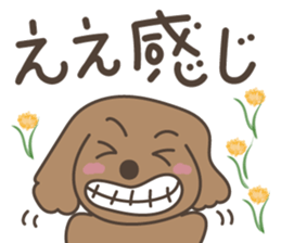 toy-poodle KEY2 sticker #6963860