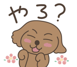 toy-poodle KEY2 sticker #6963862