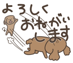 toy-poodle KEY2 sticker #6963872