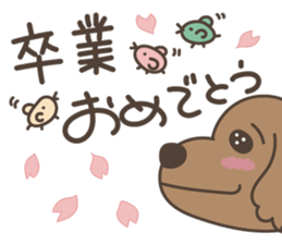 toy-poodle KEY2 sticker #6963875