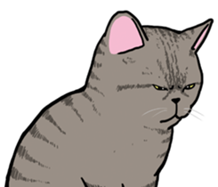 The Cat five II sticker #6964222