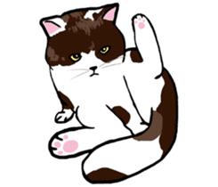 The Cat five II sticker #6964229