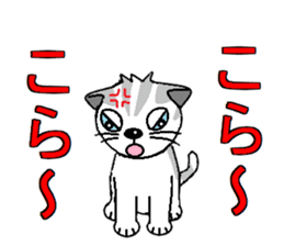 I LOVE CUTE CAT sticker #6964745