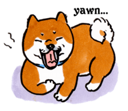 Life of the Shiba(English ver.) sticker #6966377