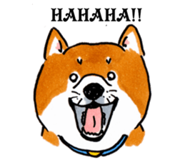 Life of the Shiba(English ver.) sticker #6966383