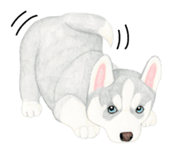 Siberian Husky Sticker(English) sticker #6967082