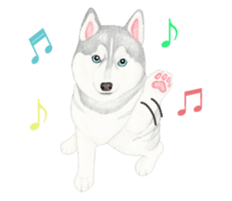 Siberian Husky Sticker(English) sticker #6967083