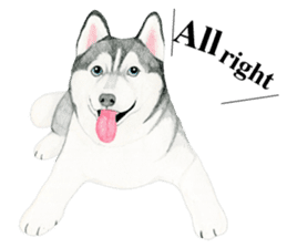 Siberian Husky Sticker(English) sticker #6967088