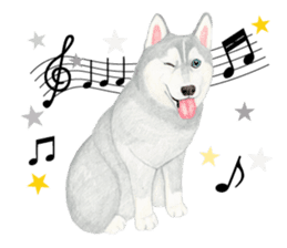 Siberian Husky Sticker(English) sticker #6967093