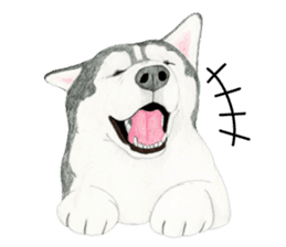 Siberian Husky Sticker(English) sticker #6967097
