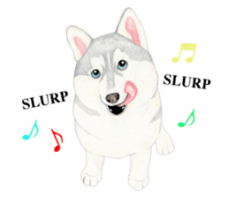 Siberian Husky Sticker(English) sticker #6967100