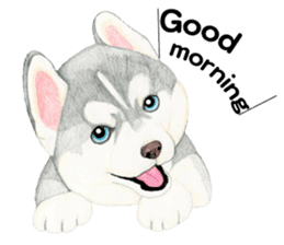 Siberian Husky Sticker(English) sticker #6967104