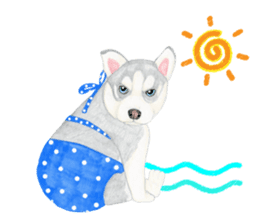 Siberian Husky Sticker(English) sticker #6967106