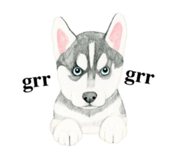 Siberian Husky Sticker(English) sticker #6967110