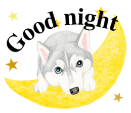 Siberian Husky Sticker(English) sticker #6967111