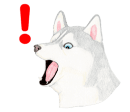Siberian Husky Sticker(English) sticker #6967112