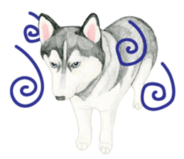 Siberian Husky Sticker(English) sticker #6967114