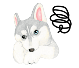 Siberian Husky Sticker(English) sticker #6967115
