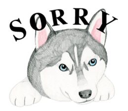 Siberian Husky Sticker(English) sticker #6967117