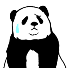 Panda Panda Panda2 sticker #6967282
